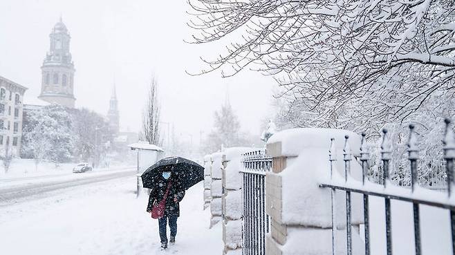 <사진 : 게티이미지코리아>