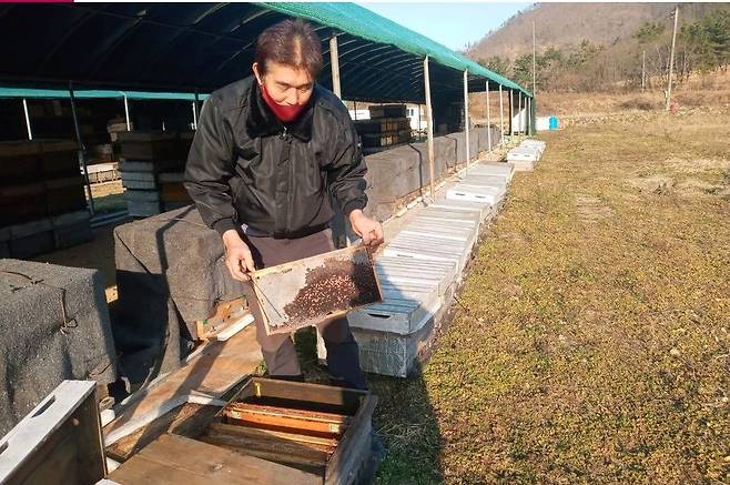 전남 해남군 한 양봉농가 농민이 꿀벌이 사라진 벌통을 보여주고 있다./연합뉴스