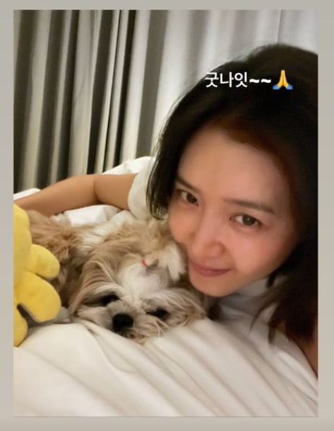 Actor Chae Jung-an told her daily life.Chae Jung-an posted a picture on his instagram story on the 6th with an article that reads Good Night.Chae Jung-an in the public photo is ready to sleep with his dog.Meanwhile, Chae Jung-an appeared in the JTBC drama Monthly House, which last August, and is currently filming the original drama The King of the Pig, a webtoon one.Photo: Chae Jung-an SNS