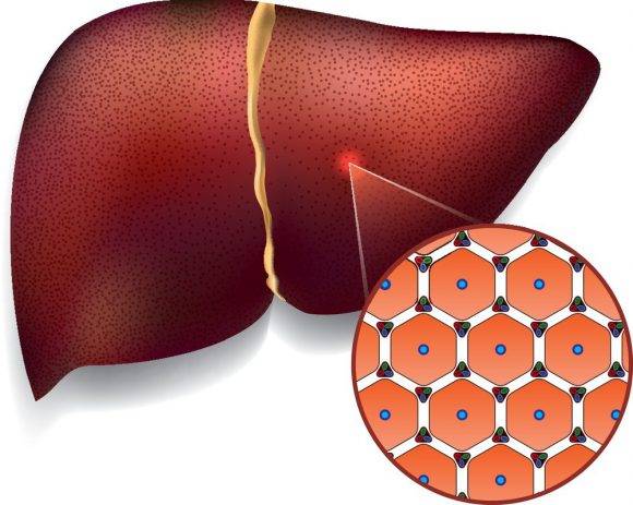 [사진=클립아트코리아]