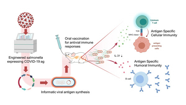 Research of oral Covid-19 vaccine based on gut-microbiome science