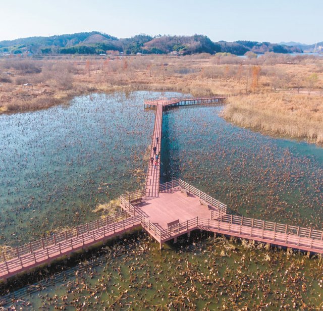 익산의 새 명소로 부상하고 있는 금강 변의 용안생태습지공원.