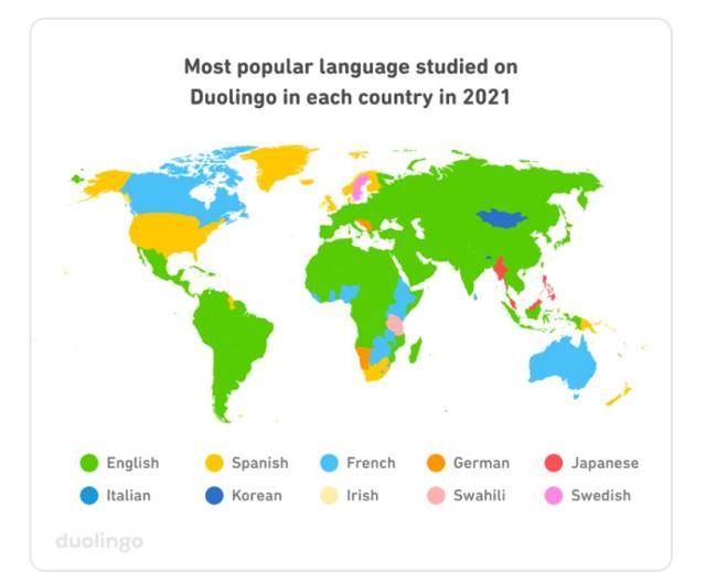 듀오링고 보고서 캡처
