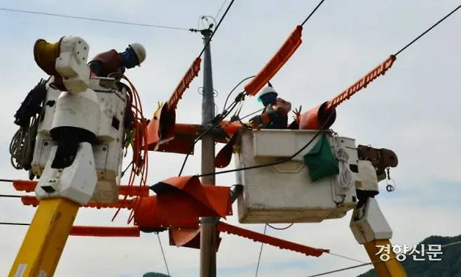 전기노동자들이 전봇대와 전봇대 사이 노후 전선 교체 작업을 하고 있다. 경향신문 자료사진