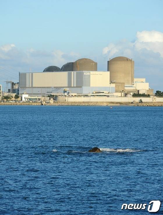 부산 기장군에 있는 고리원전 전경.© 뉴스1