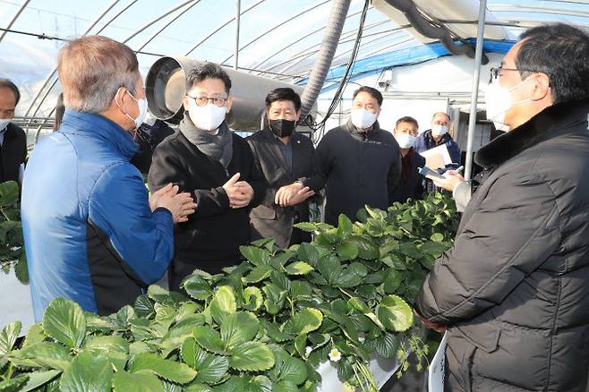 김현수(왼쪽에서 두번째) 농림축산식품부 장관이 11일 충남 논산에 위치한 딸기 재배 농가를 방문해 관계자들과 이야기하고 있다. (사진=농식품부)