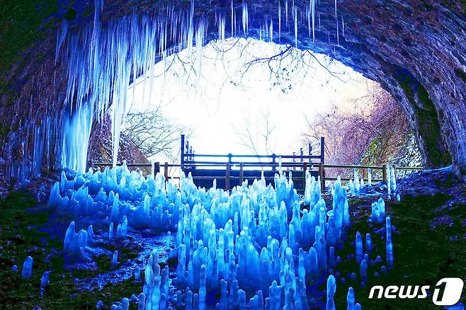 경기 연천군 신서면 고대산 자락에 위치한 일제강점기 폐터널에서 형성된 역고드름. (연천군청 제공)© 뉴스1