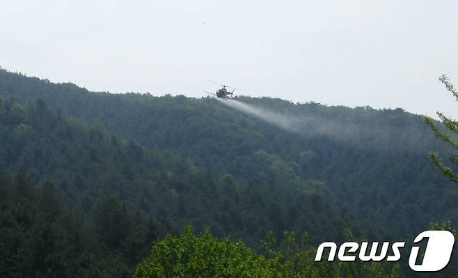 전북도는 군산, 임실, 순창, 완주, 장수 등 도내 5개 시·군 약 4만㏊ 규모 산림을 중심으로 '2022년 제1차 소나무재선충병 정기 항공 예찰'을 실시한다.2022.1.11/뉴스1