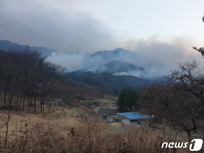 10일 오후 10시26분쯤 경남 창녕군 성산면 대산리 일대에서 발생한 산불이 11일 오후 6시쯤 진화됐다.사진은 화재 현장. (경남소방본부 제공) © 뉴스1