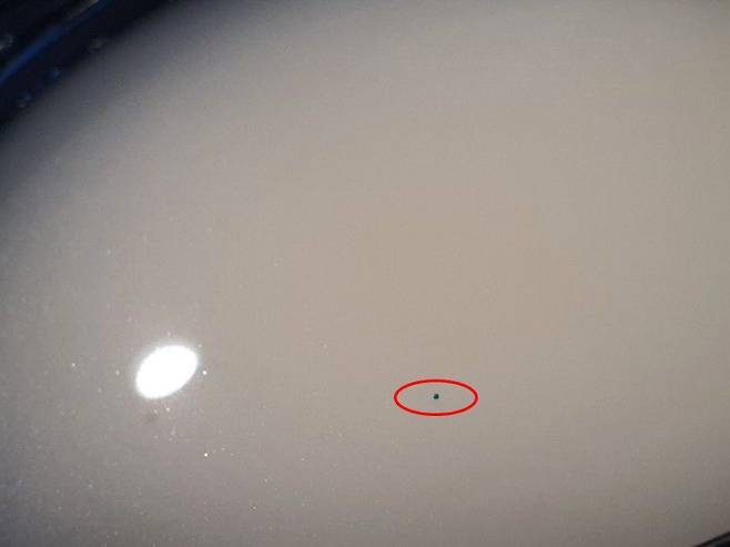 A씨가 지난 2020년 7월 국선생에 주문한 한우설렁탕. 초록색 형광 물질이 떠 있다. /독자 제공