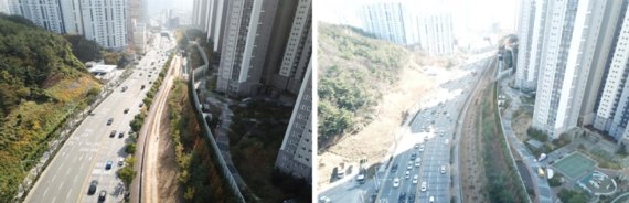 ▲ 부산 황령터널~대남교차로 구간 미세먼지 차단숲 조성 전후 모습. 부산 남구 제공