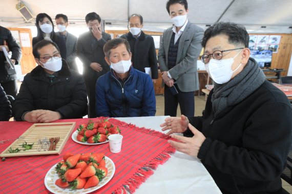 김현수 농식품부 장관(오른쪽 첫째)이 충남 논산시에 위치한 딸기 재배 농가를 방문해 딸기 작황과 출하 상황을 점검하고 있다. /사진=농식품부 제공
