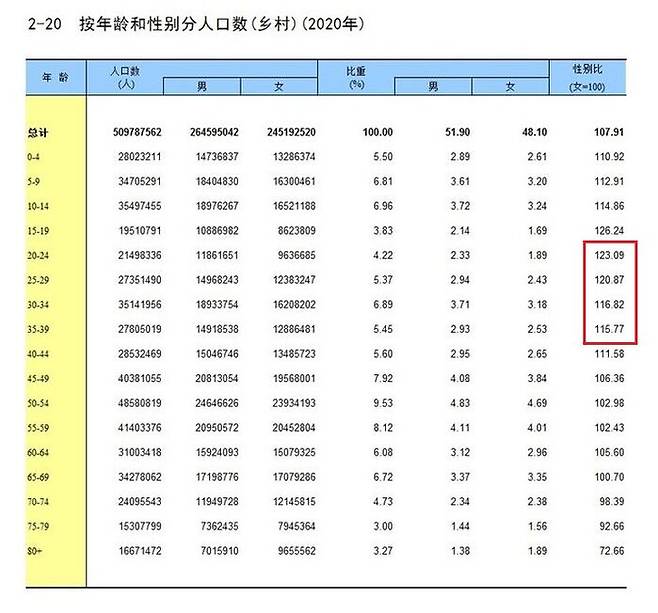 중국 농촌의 남녀 성비. 20~39세 여성 100명당 남성의 수가 115~123명에 달한다. (출처=중국통계연감)
