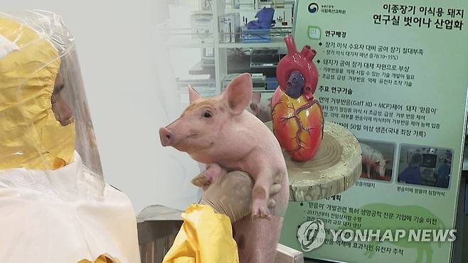 [연합뉴스TV 제공]