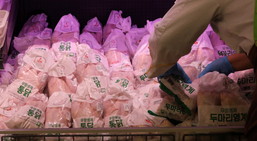 지난해 7월 서울의 한 대형마트에서 관계자가 닭을 살펴보고 있다. (사진 = 뉴시스)