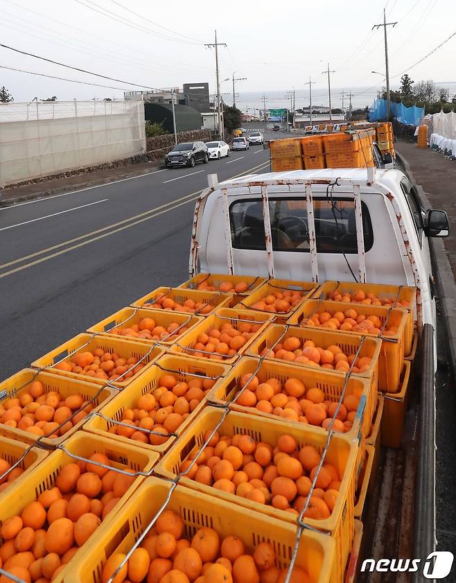 10일 오후 제주 서귀포시 남원읍 한 감귤가공공장 앞. 2022.1.10/뉴스1 © News1 오현지 기자