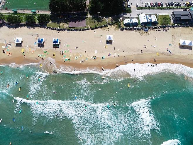 양양 서핑 / 사진-양양군