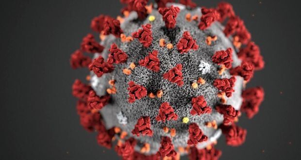 미국 질병통제센터(CDC)가 공개한 코로나19 바이러스 모형. /AP 연합뉴스