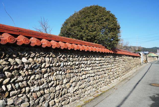 병영면 '한골목 옛담장'. 빗살무늬 형식으로 보아 하멜 일행이 그들의 방식으로 쌓은 게 아닐까 추정하지만 근거는 명확하지 않다.