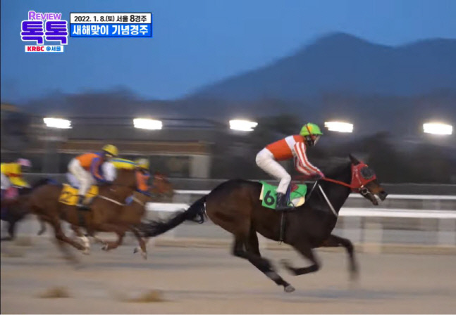 새해맞이 기념경주 우승한 센스쟁이와 조한별 기수.  제공 | 한국마사회