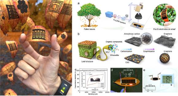 극초단 펨토초 UV 레이저를 쬐어 낙엽 위에 그래핀 전극 생성 과정. LED 발광, 액정 디스플레이, 온·습도계 타이머와 카운터 기능의 전자시계 전원 공급을 확인했다. [사진=카이스트]