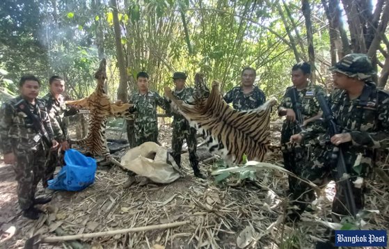 태국 국립공원 순찰대원들이 압수한 벵골 호랑이 가죽 등을 들어보이고 있다. [방콕포스트 보도 캡처]