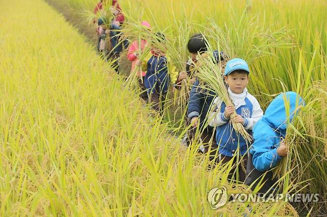 서울시교육청, 농산어촌유토피아 마을 통해 농촌유학 늘린다 [연합뉴스 자료사진]