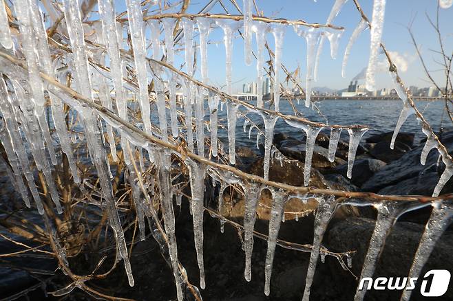 도심 얼린 강추위(자료사진)/뉴스1 DB