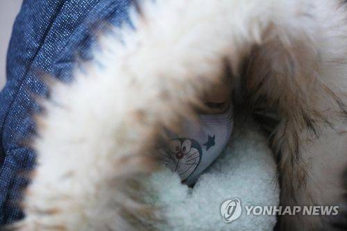 [사진 제공 = 연합뉴스]