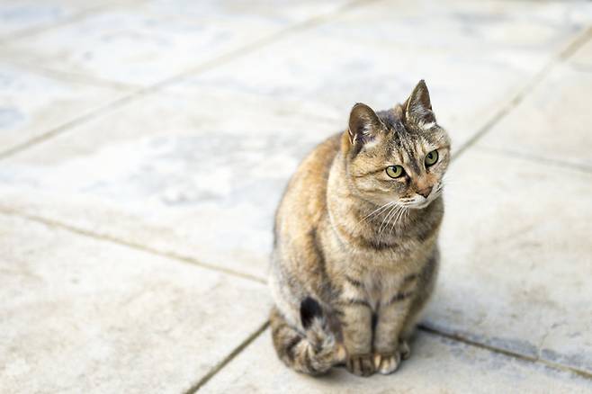 /사진=게티이미지뱅크