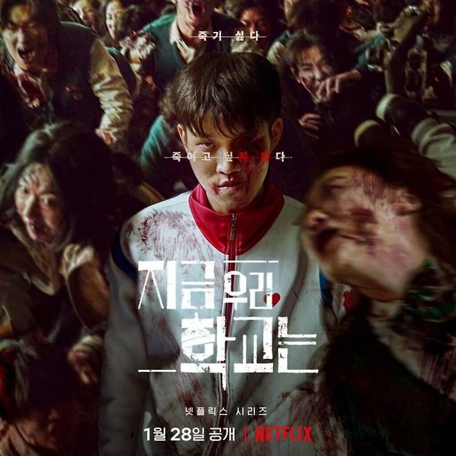 넷플릭스 코리아 제공