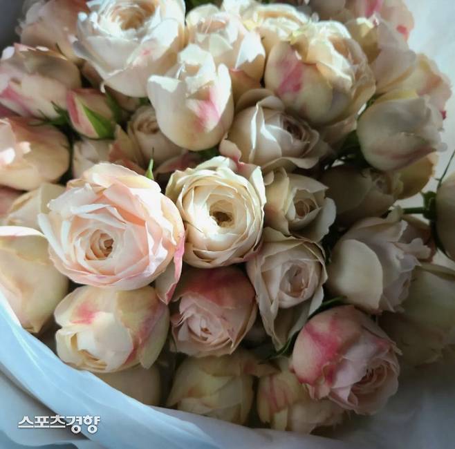 사진 = 양희은 인스타그램