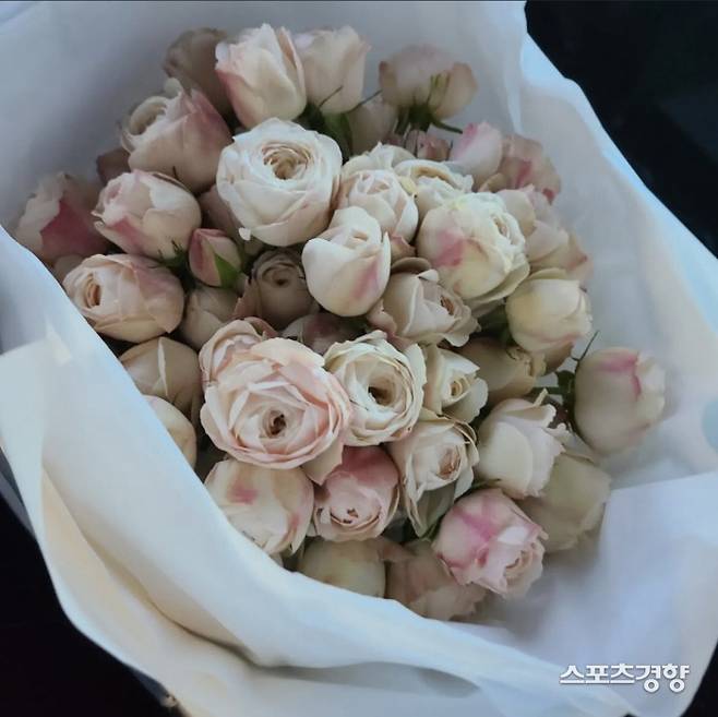 사진 = 양희은 인스타그램