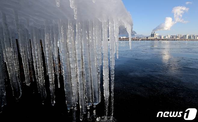 영하의 날씨로 한파가 이어지고 있는 12일 오전 서울 영등포구 여의도 한강공원 강변에 고드름이 얼어 있다. 2022.1.12/뉴스1 © News1 이동해 기자