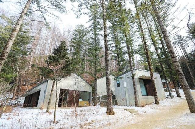 방아다리약수터 전나무 숲속에 있는 밀브릿지 숙소