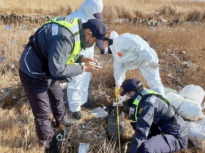 여수해경이 16일 오후 돌산 해안가에서 발견된 상괭이 사체를 살펴보고 있다. 해양환경인명구조단 제공 *재판매 및 DB 금지
