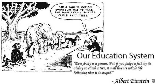 알버트 아인슈타인 교육철학