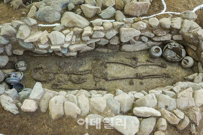 지난해 경주 탐동에서 나온 삼국시대 최장신 피장자 인골(사진=문화재청)
