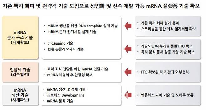 엠큐렉스 mRNA 신약 개발 전략. (자료=엠큐렉스)
