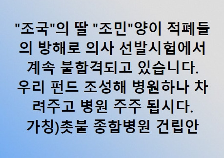 사진='조국을 사랑하는 사람들' SNS 캡처