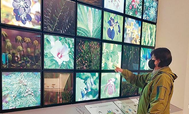 서대문자연사박물관의 김지현 학예연구사가 '식물의 분류' 코너에 대해 설명하고 있다.