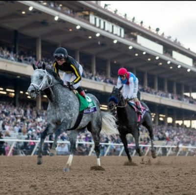 닉스고 브리더스컵 클래식 우승장면. 사진 출처 breeders cup.