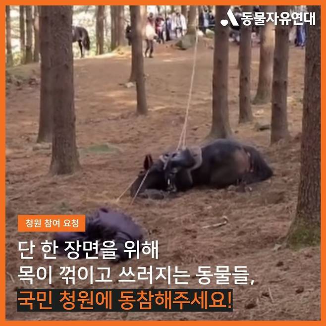 /사진=동물자유연대