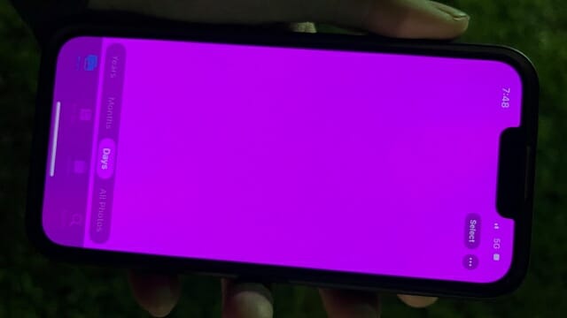 일부 아이폰13에서 화면이 분홍색으로 변하며 다운되는 현상이 나타나고 있다. (사진=애플 지원 포럼)
