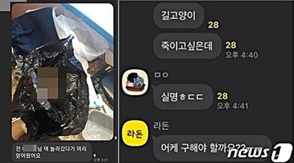 지난해 초 논란이 된 카카오톡 오픈채팅방 '동물판 N번방' 대화 화면./사진=뉴스1(동물자유연대 제공)