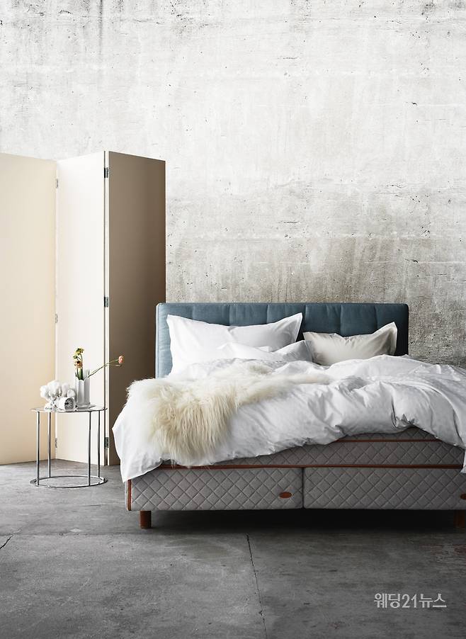 덕시아나 dux 6006 3500만원대