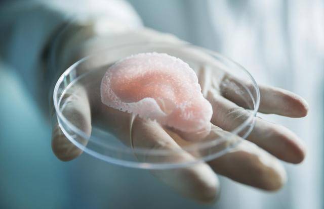 울산과학기술원이 3D 프린팅을 이용해 만든 귀 연골의 모습. 울산과학기술원 홈페이지