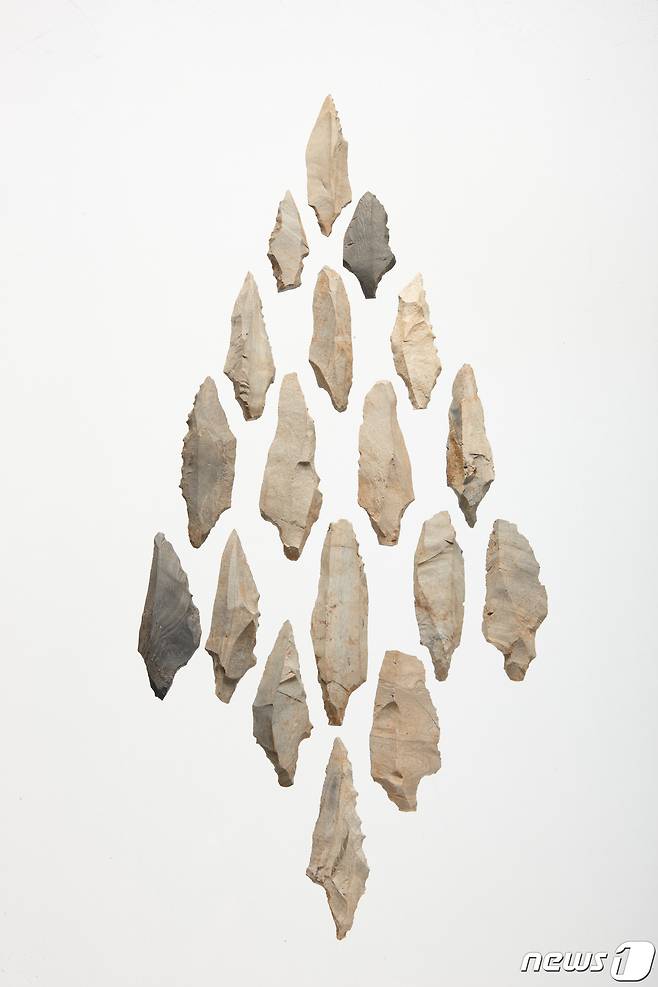 국내 대표 선사 유적지인 충북 단양 수양개 6지구에서 발굴된 구석기 유물 '슴베찌르개'.(한국선사문화연구원 제공).2022.1.25/© 뉴스1