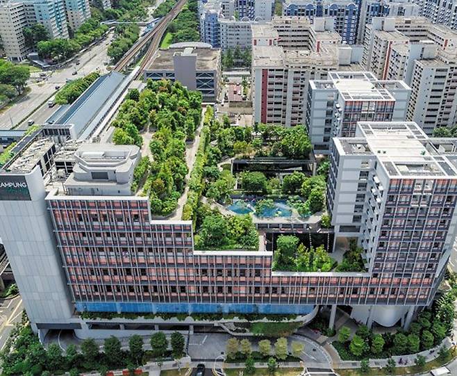 2017년 준공된 싱가포르의 시니어용 토지 임대부 주택‘캄풍 애드머럴티(Kampung admiralty) 싱가포르 주택개발청이 세대 간 교류를 장려하기 위해 보육시설과 시니어 하우스, 병원 등이 함께 입주하는 새로운 개념의 주거단지를 공급했다. /싱가포르 주택개발청