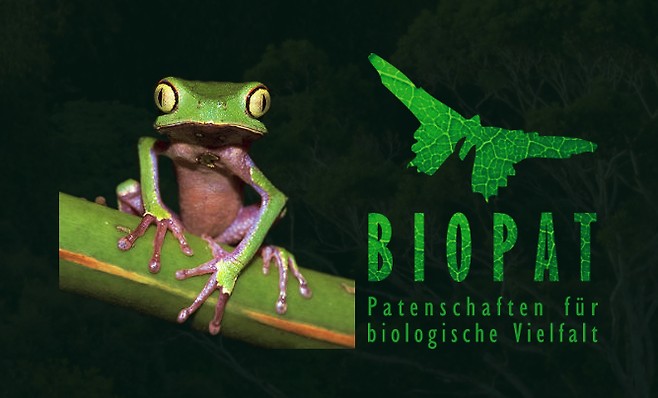 독일의 BIOPAT은 생물종 명명권을 통해 생물다양성 연구를 후원한다. 바이오팟 제공